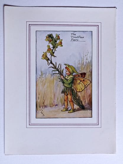 Toadflax Fairy Print