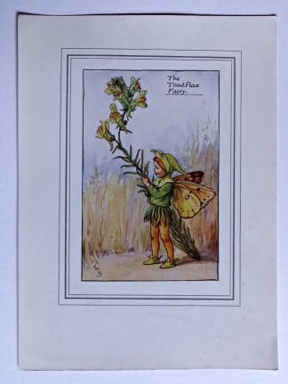 Toadflax Vintage Fairy Print