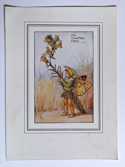 Toadflax Vintage Flower Fairy Print