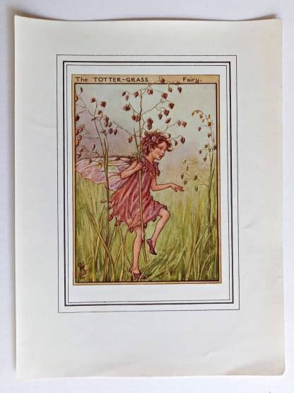 Totter Grass Fairies Print