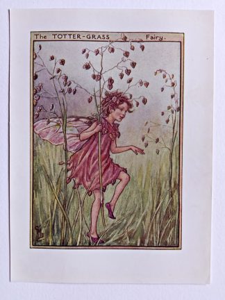 Totter Grass Flower Fairy Print