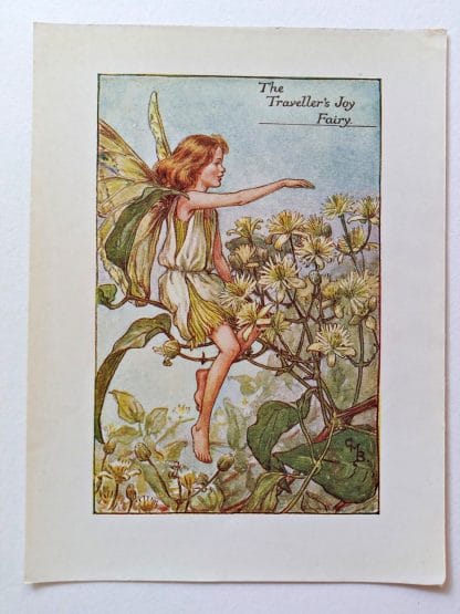 Travellers Joy Fairies Print