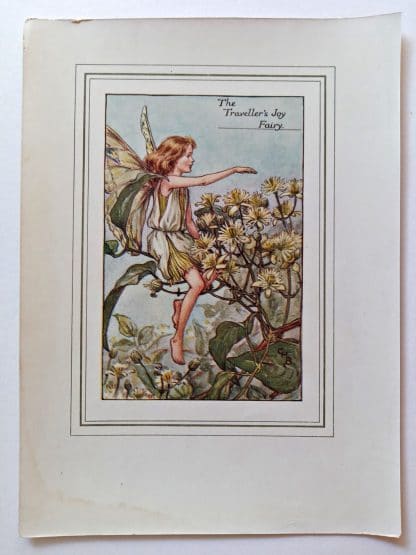 Travellers Joy Fairy Print