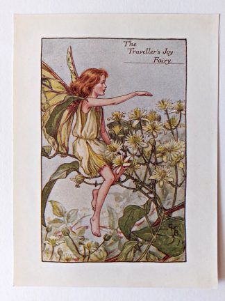 Travellers Joy Flower Fairy Print