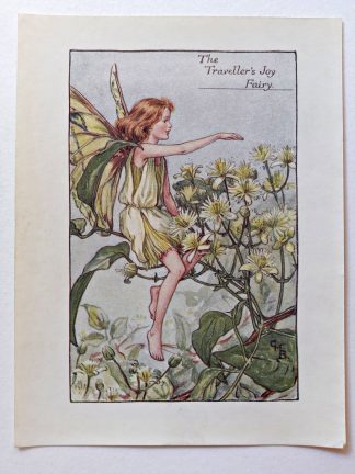 Travellers Joy Vintage Fairy Print