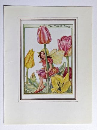 Tulip Fairies Print