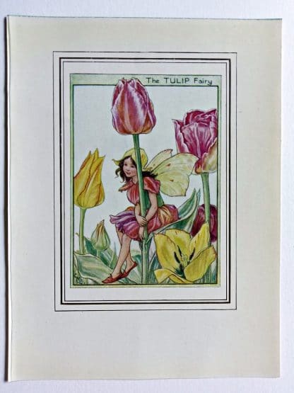 Tulip Vintage Fairy Print