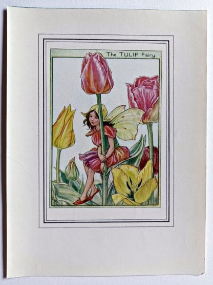 Tulip Vintage Flower Fairy Print
