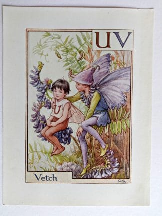 Vetch Fairies Print