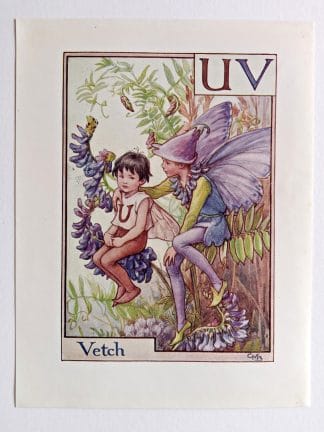 Vetch Fairy Print