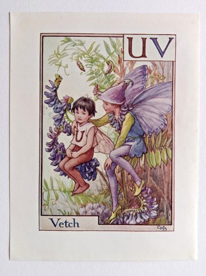 Vetch Fairy Print