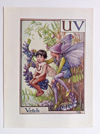 Vetch Vintage Fairy Print