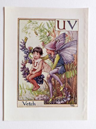 Vetch Vintage Flower Fairy Print