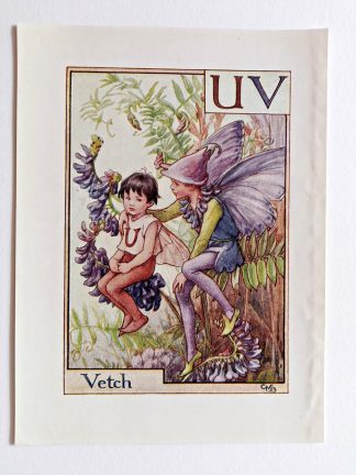 Vetch Vintage Flower Fairy Print