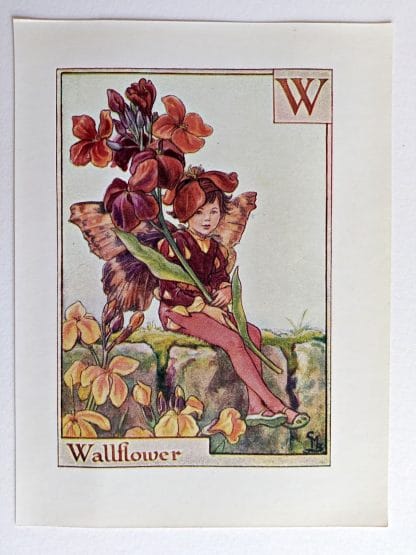 Wallflower Fairies Print