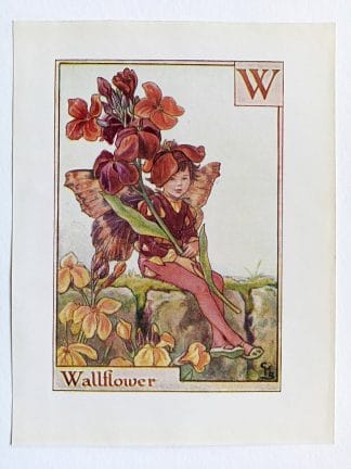 Wallflower Flower Fairy Print
