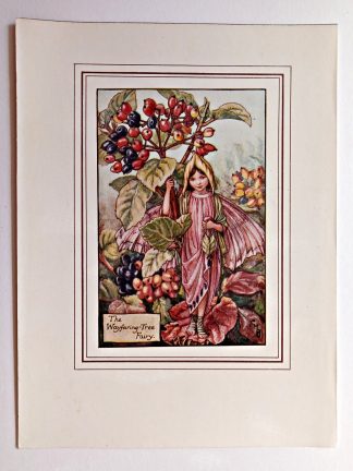 Wayfaring Tree Vintage Flower Fairy Print