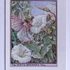 White Bindweed Fairies Print