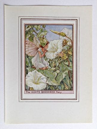 White Bindweed Fairy Print