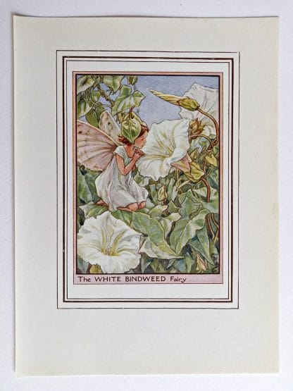 White Bindweed Fairy Print