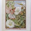 White Bindweed Vintage Fairy Print