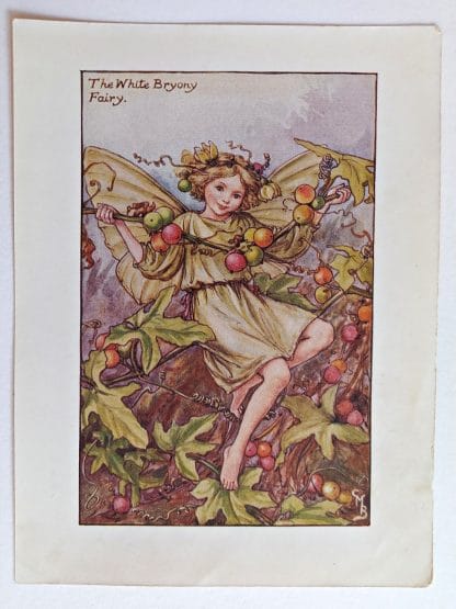 White Bryony Fairies Print