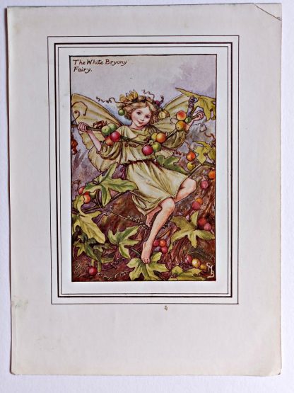 White Bryony Fairy Print