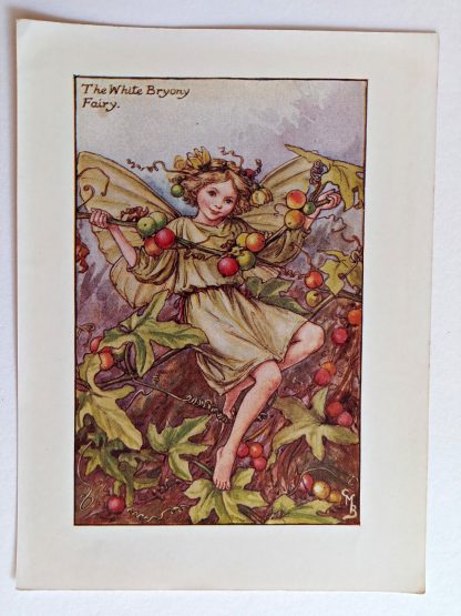 White Bryony Vintage Fairy Print