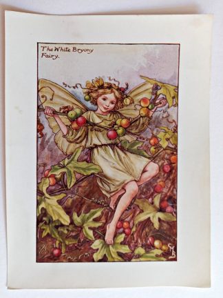White Bryony Vintage Flower Fairy Print