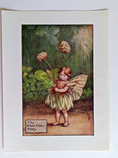 White Clover Vintage Fairy Print
