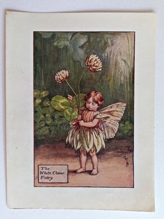 White Clover Vintage Flower Fairy Print