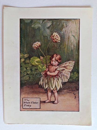 White Clover Vintage Flower Fairy Print