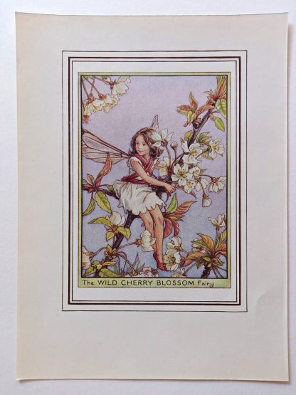 Wild Cherry Blossom Fairy Print