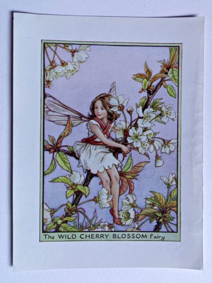 Wild Cherry Blossom Vintage Fairy Print