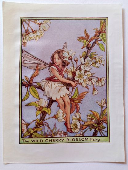 Wild Cherry Blossom Vintage Flower Fairy Print