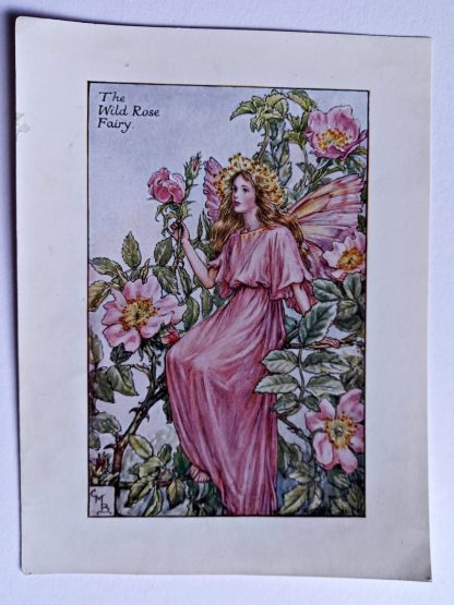 Wild Rose Fairies Print