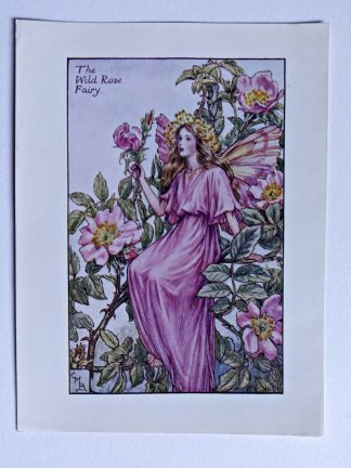 Wild Rose Vintage Fairy Print