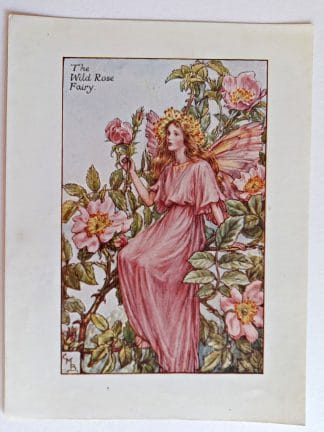 Wild Rose Vintage Flower Fairy Print