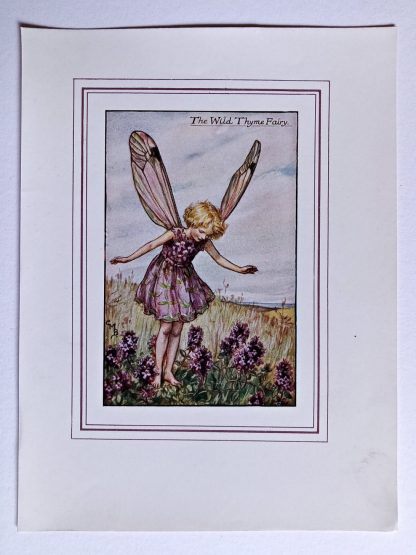 Wild Thyme Fairy Print