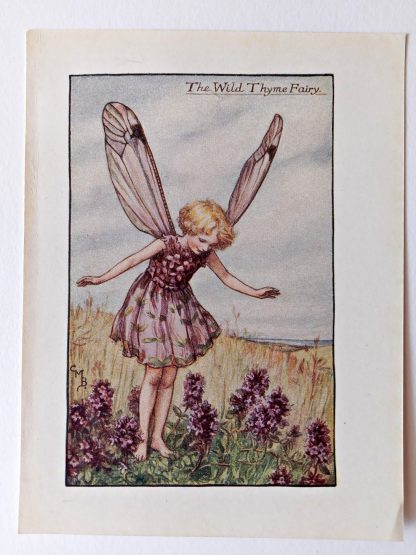 Wild Thyme Flower Fairy Print