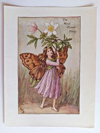 Wind Flower Fairies Print