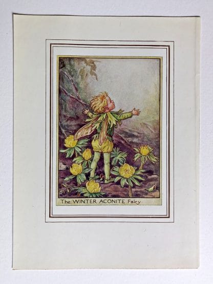 Winter Aconite Fairies Print