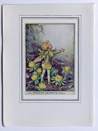 Winter Aconite Fairy Print