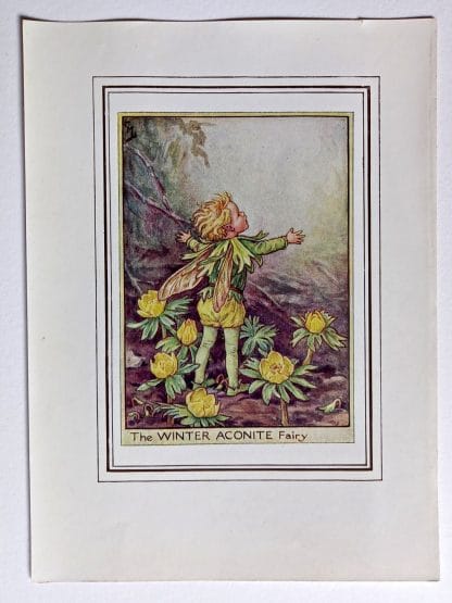 Winter Aconite Vintage Fairy Print