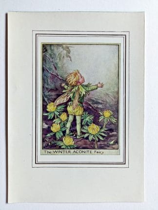 Winter Aconite Vintage Flower Fairy Print