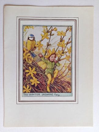 Winter Jasmine Fairies Print