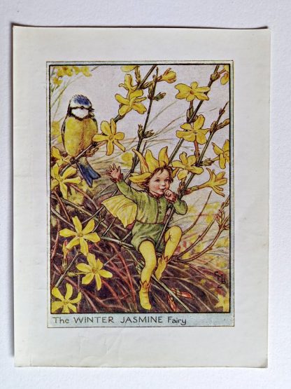 Winter Jasmine Vintage Fairy Print