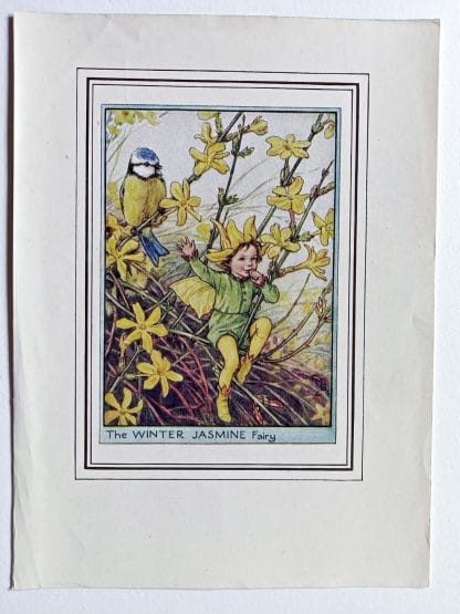 Winter Jasmine Vintage Flower Fairy Print