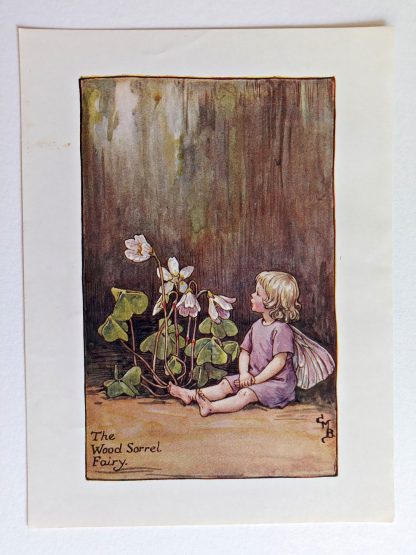 Wood Sorrel Fairies Print