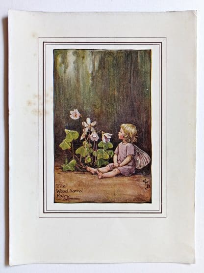 Wood Sorrel Fairy Print